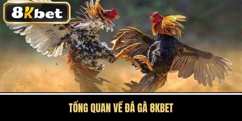 Tổng Quan Về Đá Gà 8KBET