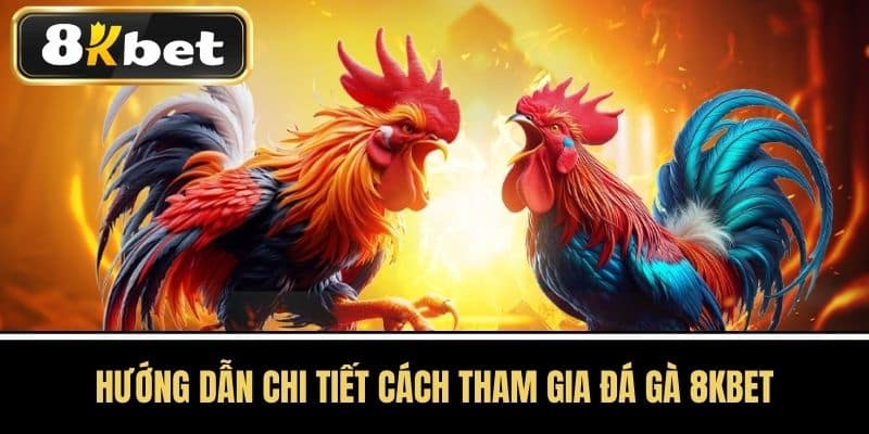 Hướng Dẫn Chi Tiết Cách Tham Gia Đá Gà 8KBET