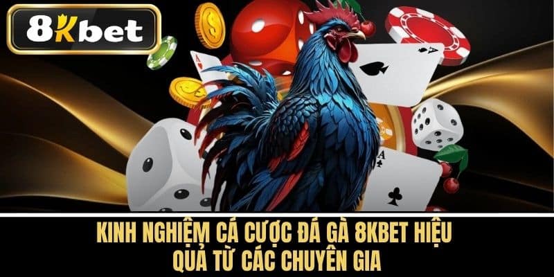 Kinh Nghiệm Cá Cược Đá Gà 8KBET Hiệu Quả Từ Các Chuyên Gia