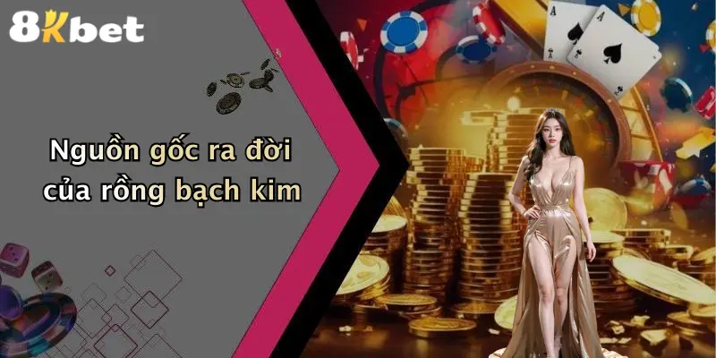 Nguồn gốc ra đời của rồng bạch kim